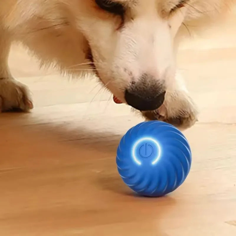 Electric Magic Cat Ball – Interactive Self-Rolling Toy for Dogs and Cats