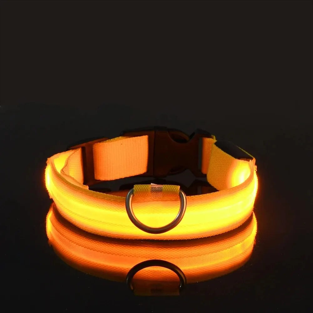 LED Dog Collar – Nighttime Safety