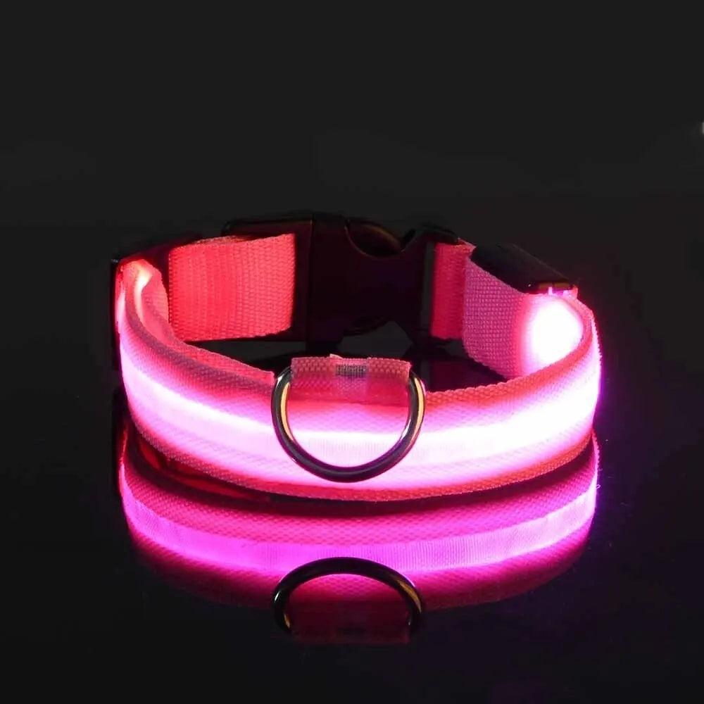 LED Dog Collar – Nighttime Safety