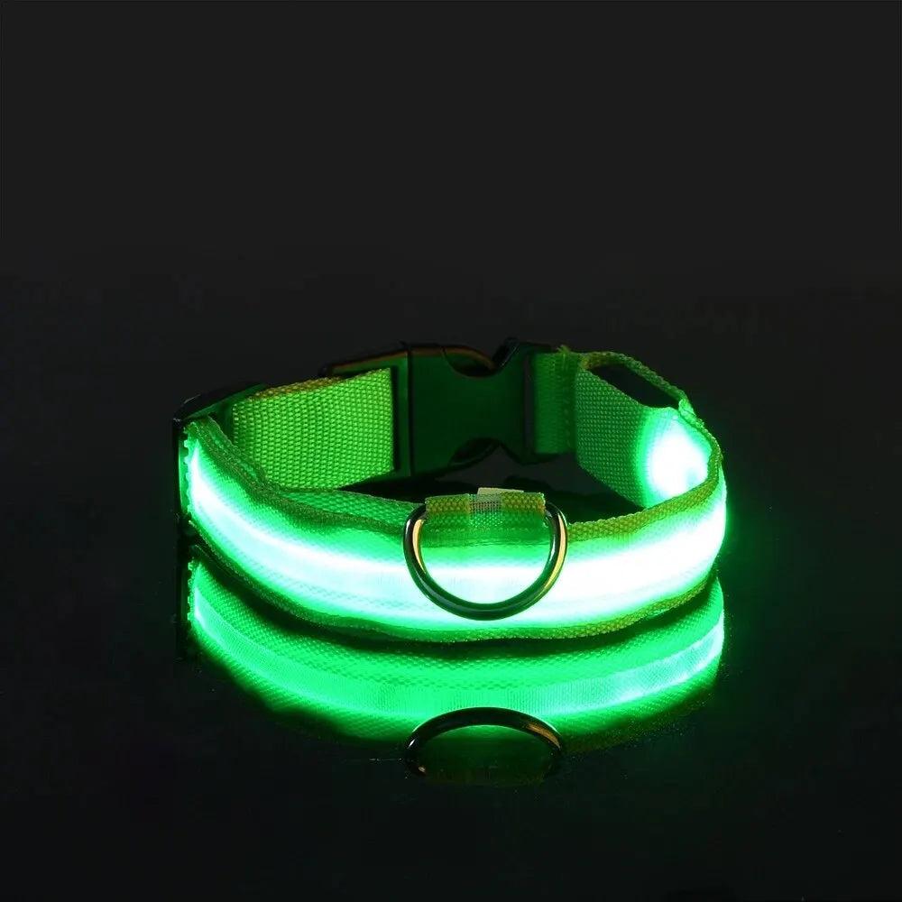 LED Dog Collar – Nighttime Safety