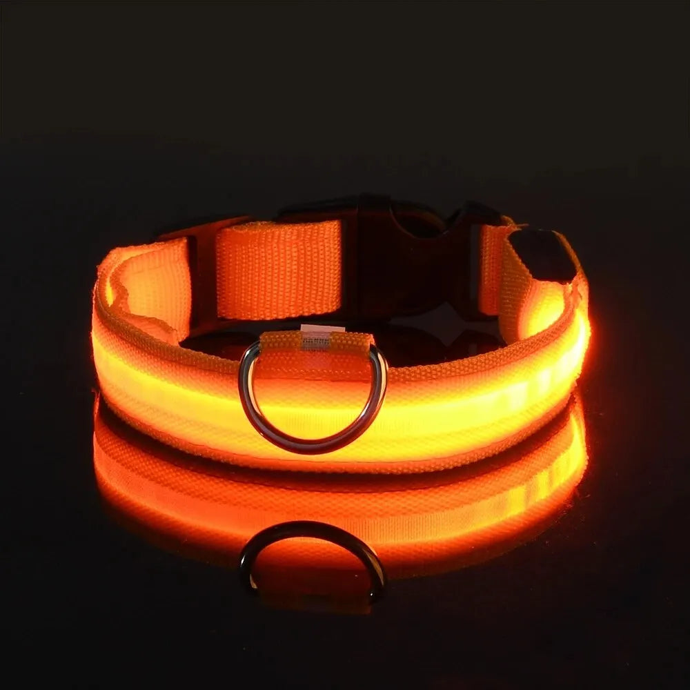 LED Dog Collar – Nighttime Safety