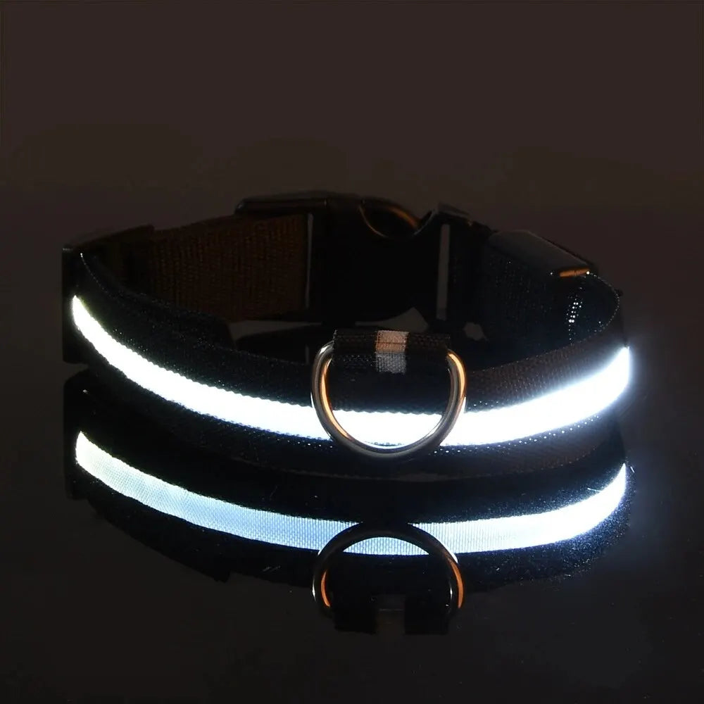 LED Dog Collar – Nighttime Safety