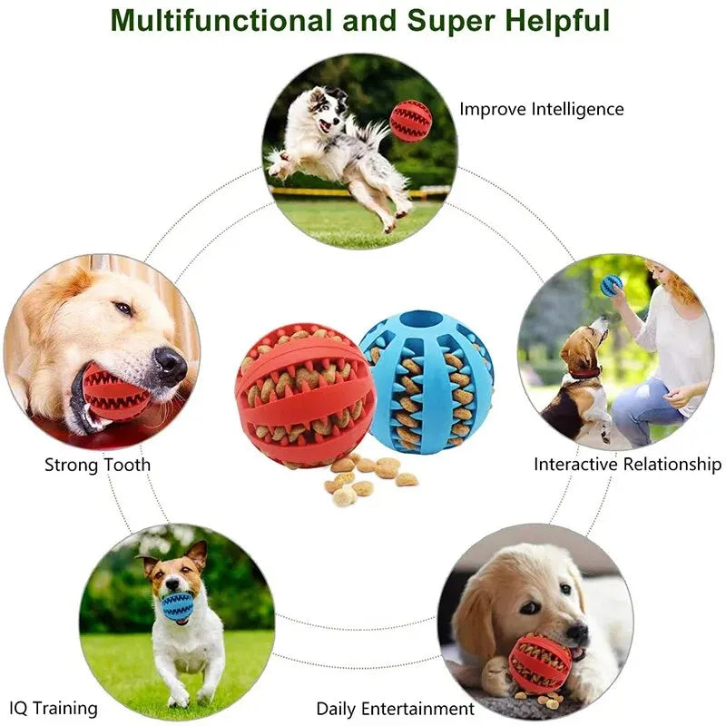 Nontoxic Bite-Resistant Dog Toy Ball – Treat Feeder & Dental Chew