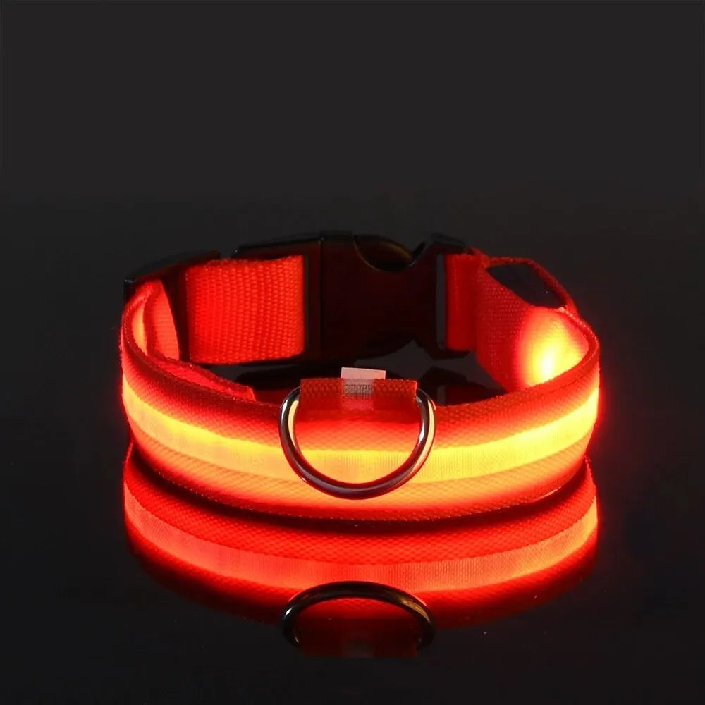 LED Dog Collar – Nighttime Safety