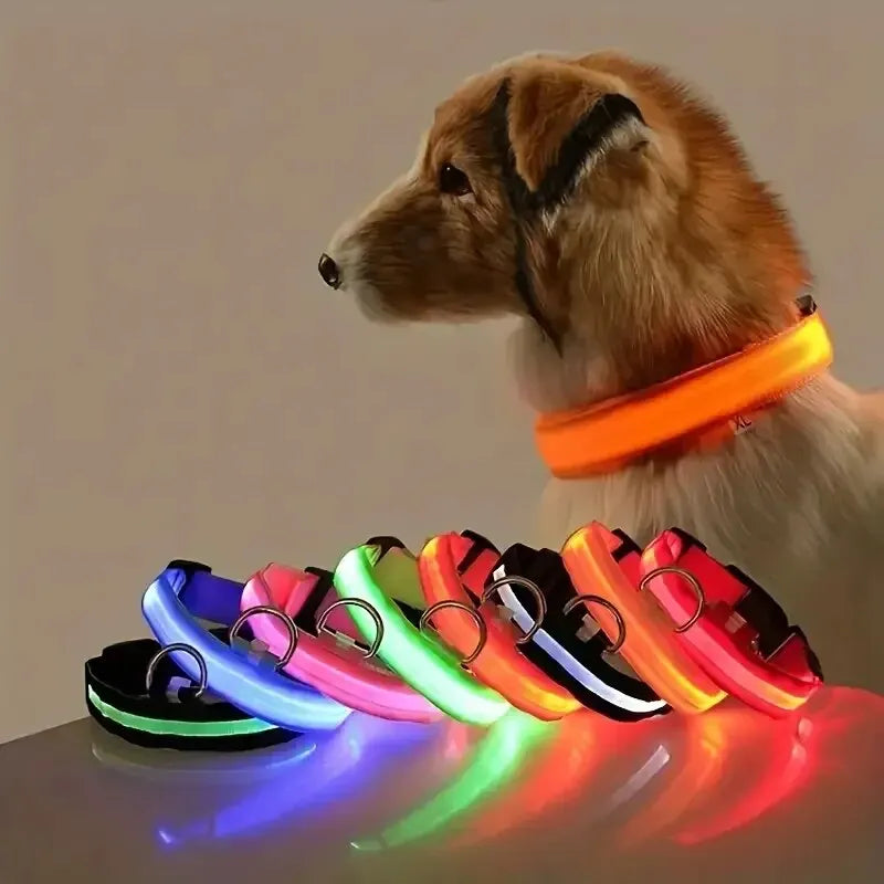 LED Dog Collar – Nighttime Safety