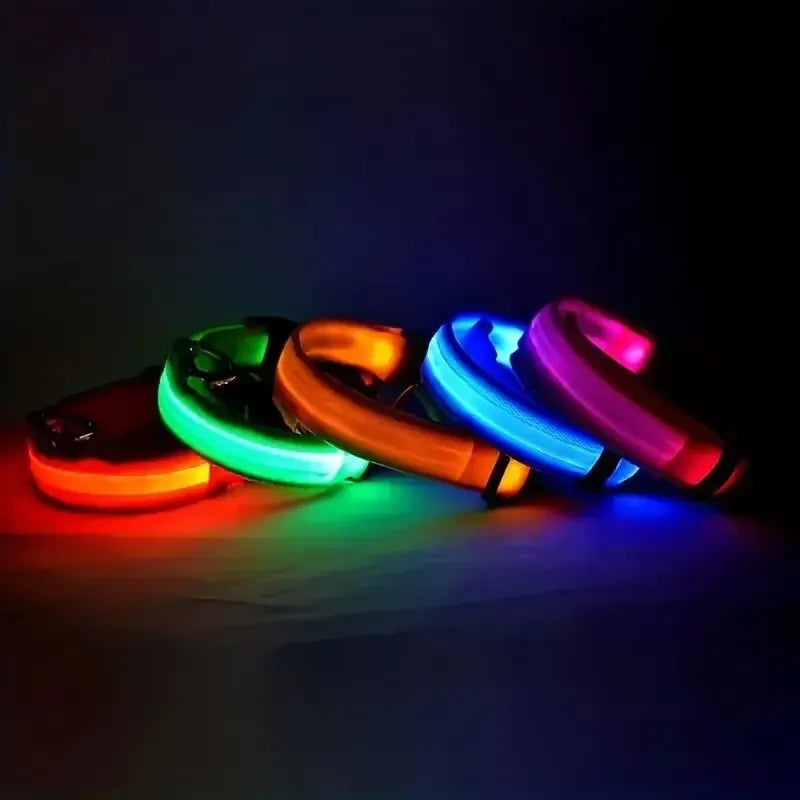 LED Dog Collar – Nighttime Safety